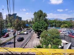 Boulevard de la Luz. Fotografía: Ulises Felipe Chávez Valdovinos