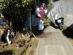 "Sanitización de un pasillo en una unidad habitacional por un elemento de la cuadrilla de sanitización de la alcaldía Gustavo A. Madero". Fotografía: César Omar Rojas Gómez.
