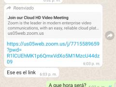Captura de pantalla con datos de la sesión en Zoom. Imagen: Yazmin de la Cruz Bustos.