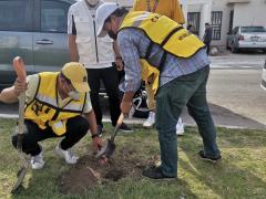 Compañeros brigadistas plantan un árbol. Fotografía: Alejandro Gallegos Guerrero.