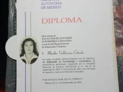 Diploma de la señora Martha Valdovinos como técnico gericultista (8 diciembre 2008).