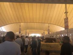 Isla, lugar de la feria que es conocida por su ambiente familiar. Zona ganadera, Feria de San Marcos. Fotografía: Luz María Galaviz Galarza.