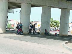 Trabajadores bajo puente vehicular, Los Cabos.