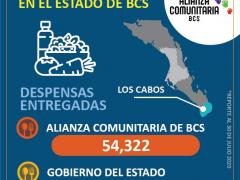 Infografía con número de despensas entregadas (versión en español).