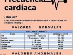 Infografía Que es la frecuencia cardiaca y sus valores normales. Referencia: esucesos.com.