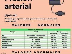 Referencia: esucesos.com. Que es la presión arterial y sus valores normales. Referencia: esucesos.com.
