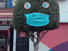 Fotografía de Árbol con cubrebocas que invita a usar protección contra COVID-19, Xochimilco. 