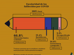 Infografía Escolaridad de los fallecidos por COVID. Animal Político.