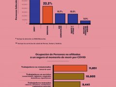 Infografía Afiliación a servicios de salud pública. Animal Político.