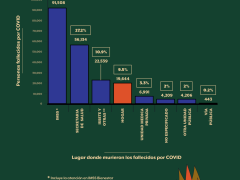 Infografía Uno de cada diez víctimas de COVID murió en casa. Animal Político.