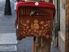 Juan Pablo, organillero desde los 20 años, sobre calle 5 de Febrero. Estudió diseño gráfico, pero disfruta la oportunidad de este oficio, ya que con la llegada de la pandemia conoció nuevas formas de llevar la música del organillo de puerta en puerta. Fotografía: Karina Hernández