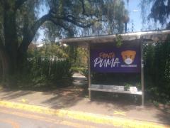 Ponte Puma, parada del Puma-Bus, Facultad de Química, Ciudad Universitaria, UNAM. Fotografía: Ángel Alberto Blancas Rivera.