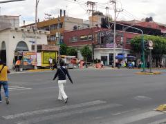 Transeúntes sobre Av. Revolución, San Ángel, alcaldía Álvaro Obregón, Ciudad de México. Fotografía: Ulises Felipe Chávez Valdivino.