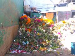 Basurero del mercado de Jamaica con montones de flores de cempasúchil tiradas. Fotografía: Bertha Teresa Ramírez 