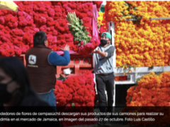 Vendedores de flores de cempasúchil descargan sus productos de sus camiones para realizar su vendimia en el mercado de Jamaica, en imagen del pasado 27 de octubre. Fotografía: Luis Castillo