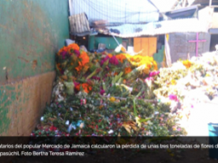 Locatarios del popular Mercado de Jamaica calcularon la pérdida de unas tres toneladas de flores de cempasúchil. Fotografía: Bertha Teresa Ramírez 