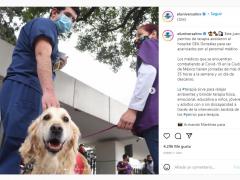 Captura de pantalla, al lado izquierdo una fotografía de un par de personas hablando entre sí y a un perro Golden Retriever mirando a la cámara; del lado derecho esta la descripción donde se menciona que las fotografías se realizaron en las inmediaciones del Hospital GEA González. Fotografía: Armando Martínez