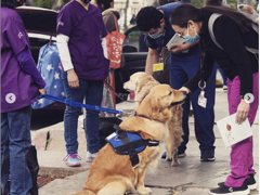 Se observa, en primer plano 4 personas alrededor de un par de perros Golden Retriever. Una mujer y un hombre con pijama acaricia a los perros. Fotografía: Armando Martínez