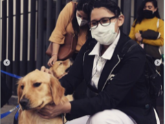 Enfermera en cuclillas acaricia a un Golden retriever, deatrás otra mujer con blusa amarilla se agacha para acariciar a otro Golden Retriever y al fondo otra mujer con blusa amarilla observa a las primeras mujeres. Todas portan cubrebocas. Fotografía: Armando Martínez