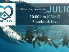 Horario del evento. Facebook Mexico Azul.