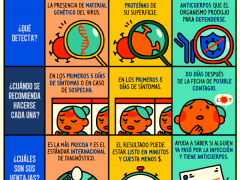 Infografía Los básicos de las pruebas de COVID-19. Cuáles hay, para qué funcionan y más, de Pictoline.