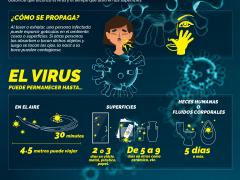 Infografía COVID-19 Estudio revela cuánto dura el virus en las superficies, de Notimex.