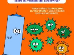 ¿Las vacunas disponibles sirven contra las variantes del coronavirus?, por Pictoline.