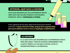 Infografía Los vacunados pueden enfermar de COVID-19 y contagiar a otros, por El Sabueso y Animal Político.