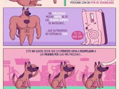 Infografía Hoy en "No los merecemos": Perritos COVID, por Pictoline.