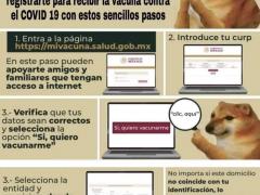 Infografía Cómo registrarse para ser vacunado contra el COVID-19. Facebook: La Construcción Social del Meme.