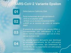 SARS-Cov-2 variante Épsilon, por Asociación Mexicana de Vacunología.