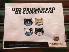 Aviso Uso obligatorio de cubrebocas, Catfecito de Gato Gazzu Cat Café, Cuauhtémoc, CdMx. Fotografía: Gloria Elisa Melgarejo García.