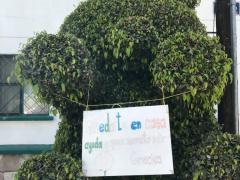 Cartel Quédate en casa, Xochicalco esquina con Chichén Itza, Colonia Letrán Valle, CdMx. Fotografía: Gloria Elisa Melgarejo García.