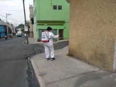Brigadas de sanitización en la Colonia Paraíso. Fotografía: Facebook Alcaldía Iztapalapa.