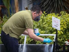 Los negocios podrán operar de 8 de la mañana hasta las 6 de la tarde. Fotografía de Araceli López.