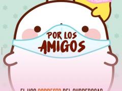Cartel de Molang "Por los amigos. El uso correcto del cubrebocas ayuda a salvar vidas". Fotografía: David Alonso Vargas Melgarejo