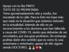 Texto de la publicación sobre Convocatoria a concurso virtual de disfrazes de Hallween para animales.