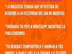 Convocatoria a concurso virtual de disfrazes de Hallween para animales.