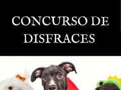 Cartel de concurso virtual de disfrazes de Hallween para animales.