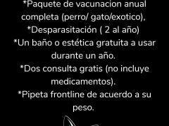 Cartel de primer lugar en concurso virtual de disfrazes de Hallween para animales.