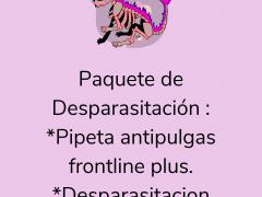Cartel de segundo lugar en concurso virtual de disfrazes de Hallween para animales.