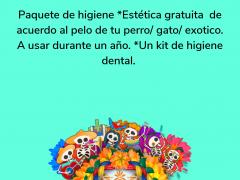 Cartel de tercer lugar en concurso virtual de disfrazes de Hallween para animales.