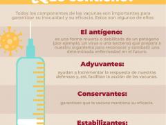 Infografía Vacuna COVID-19 ¿Qué contine? Ayuntamiento de Tecámac.