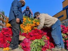 Hombres descargan flores para ofrendas. Fotografía: La Silla Rota.