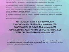 Fechas del proceso de participación del 1er Encuentro Virtual de las Juventudes.