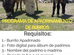 Flyer Programa de apadrinamiento de Burror. Burrolandia México