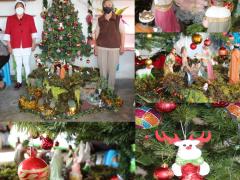 Árbol y nacimiento del Club “Amistad” San Sebastián Xolalpa. Fotografía: DIF Teotihuacán 2021.