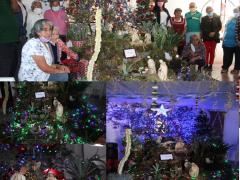Árbol y nacimiento del Club “Huehueteotl” de San Isidro del Progreso. Fotografía: DIF Teotihuacán 2021.