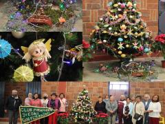 Árbol y nacimiento del Club “Pirámides” de San Francisco Mazapa. Fotografía: DIF Teotihuacán 2021.