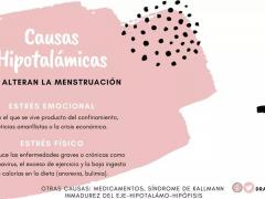 Diapositiva 04. Causas hipotalámicas que alteran la menstruación. Facebook: Dra. Luz Elorza.